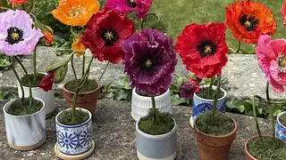 Crafternoon Tea with Florigami: Perfect Poppy!